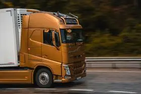 Transport zwierząt AutoSmartService